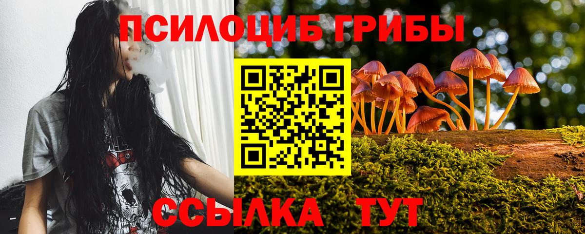 Галлюциногенные грибы ЛСД  Псилоцибиновые грибы MAGIC MUSHROOMS  Вход с VPN  Железногорск 