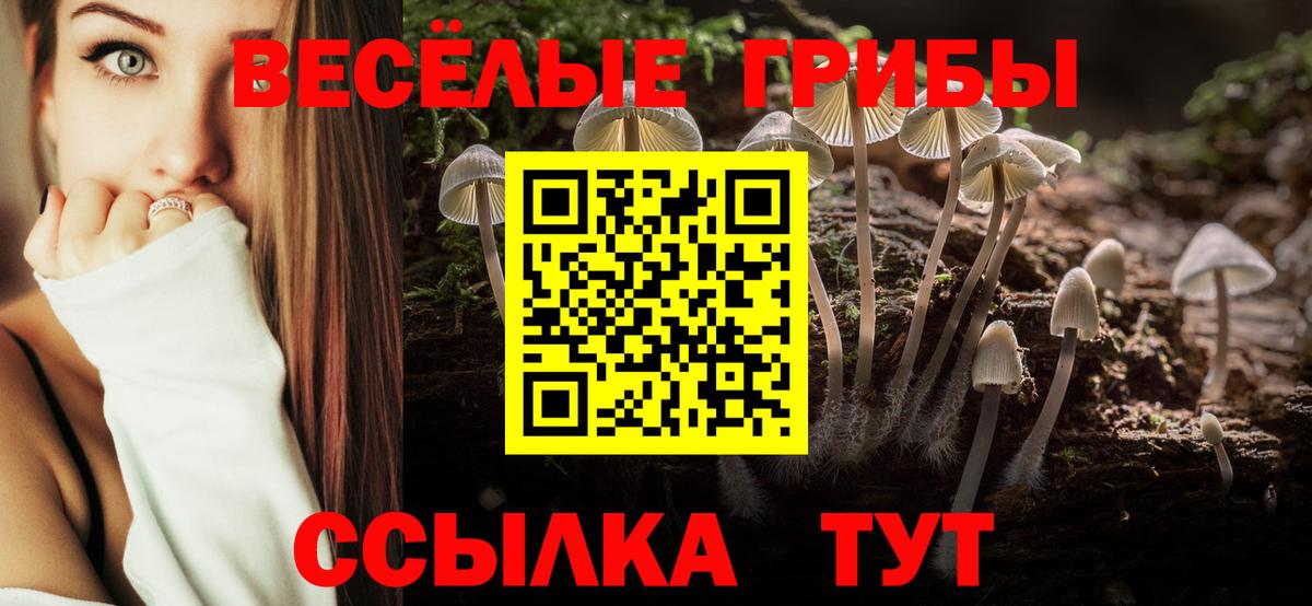 Псилоцибиновые грибы Magic Shrooms Железногорск